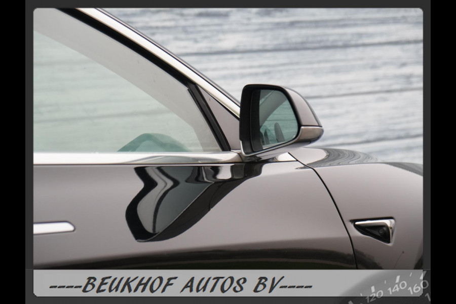 Tesla Model 3 Standard RWD Panorama Leer Camera 30x Tesla !!