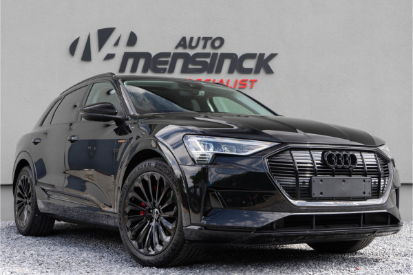 Audi e-tron 50 Quattro / Standkachel/ Luchtvering/ Adaptive Cruise Control/ Trekhaak/ Panoramadak/ 230kW (313PK)