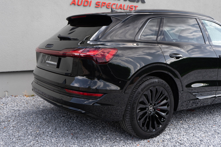 Audi e-tron 50 Quattro / Standkachel/ Luchtvering/ Adaptive Cruise Control/ Trekhaak/ Panoramadak/ 230kW (313PK)
