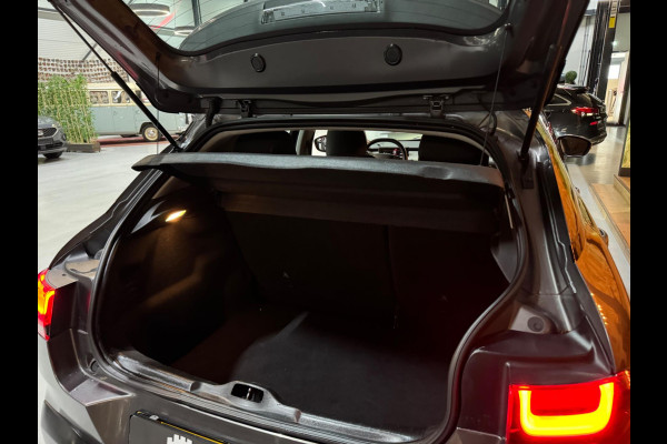 Citroën C4 Cactus 1.2 PureTech Shine Garantie CarPlay Cruise Clima Navi Led DAB Parkeerhulp Rijklaar