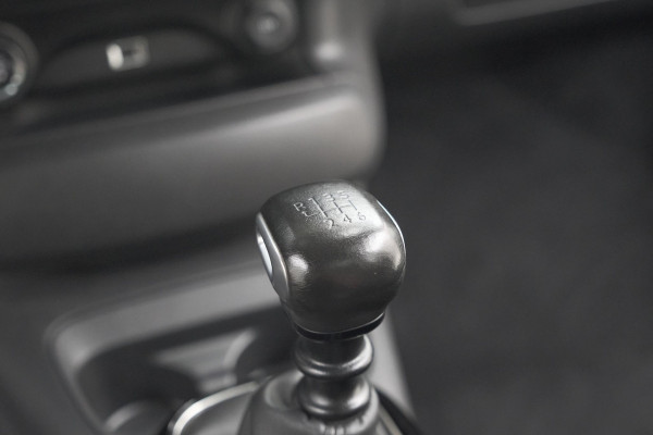 Citroën C4 Cactus PureTech 110 Shine | Camera | Panoramadak | Apple Carplay | Climate Control