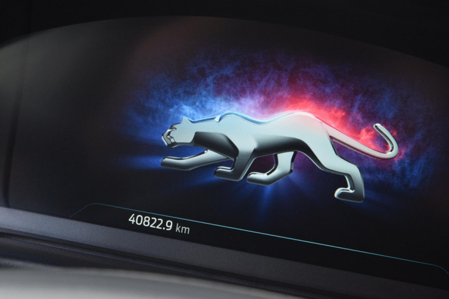 Ford Puma Hybrid ST-Line|Winterpack|Carplay