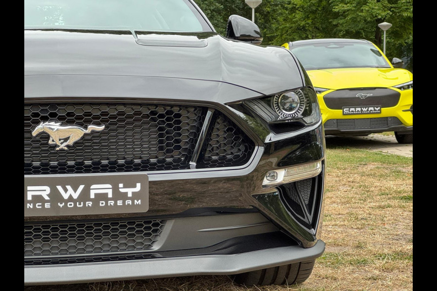 Ford Mustang 5.0 V8 GT Recaro, Magneride, Performance pkg EU-AUTO
