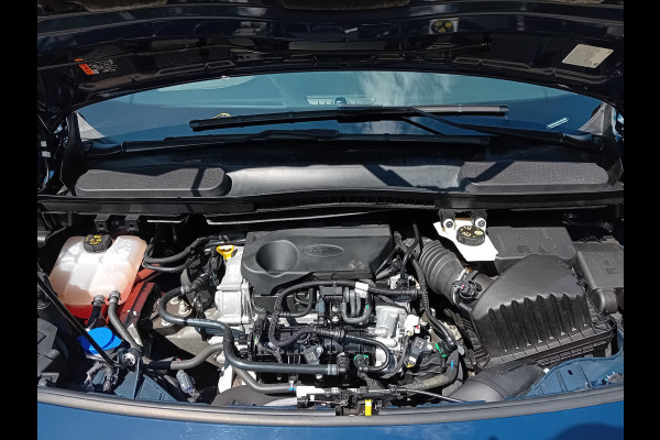 Ford Transit Connect 1.0 Ecoboost L1 Trend