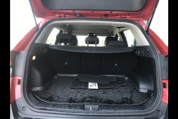 Kia Sportage 1.6 Hybrid DynamicLine Trekhaak 7 JAAR GARANTIE