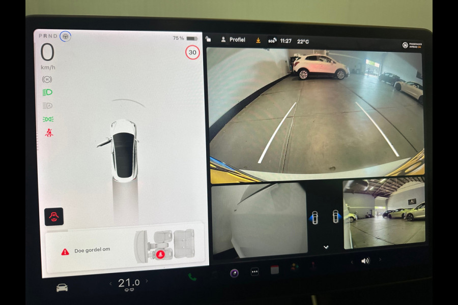 Tesla Model 3 Standard RWD Plus 60 kWh