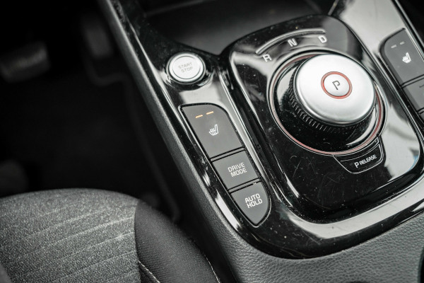 Kia e-Soul DynamicPlusLine 64 kWh | Trekhaak
