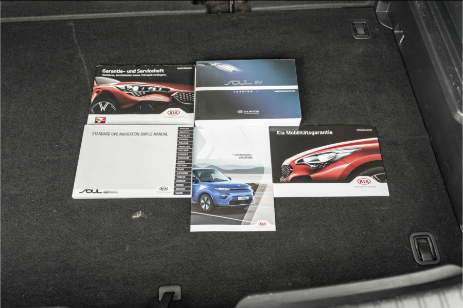 Kia e-Soul DynamicPlusLine 64 kWh | Trekhaak