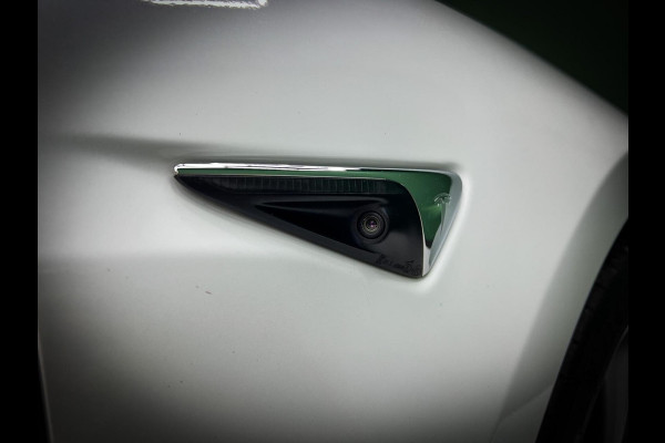 Tesla Model 3 Performance AWD 75 kWh Trekhaak | Marge | NAP