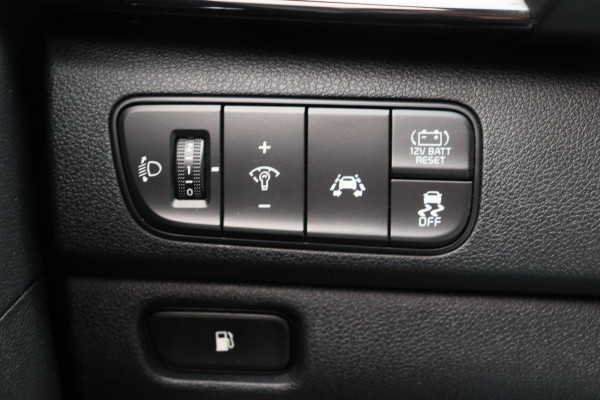 Kia Niro 1.6 GDi Hybrid DynamicLine Trekhaak Apple/Carplay Navigatie Origineel NL