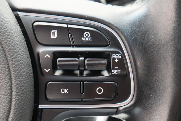 Kia Niro 1.6 GDi Hybrid DynamicLine Trekhaak Apple/Carplay Navigatie Origineel NL