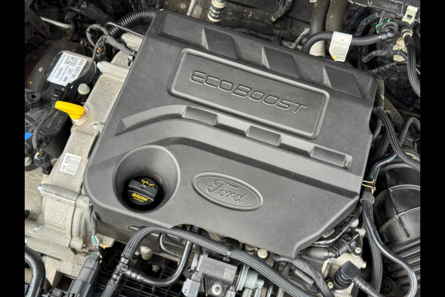 Ford Focus 1.0 EcoBoost 2019 NAVI CRUISE CLIMA LM NAP!