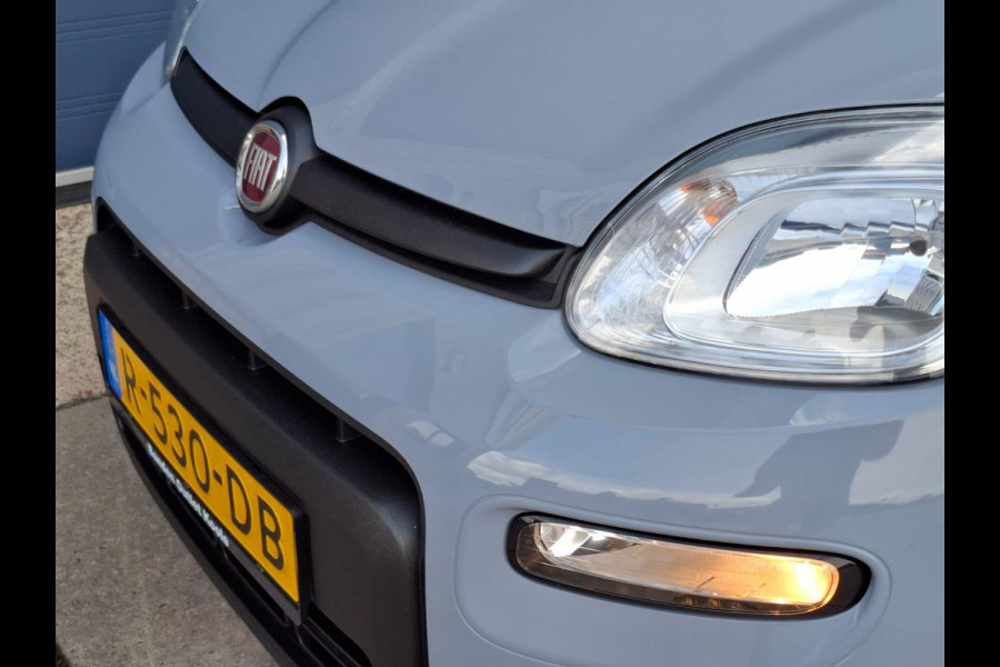 Fiat Panda 1.0 Hybrid City Life AIRCO / CRUISE CONTROLE / N.A.P / BENZINE