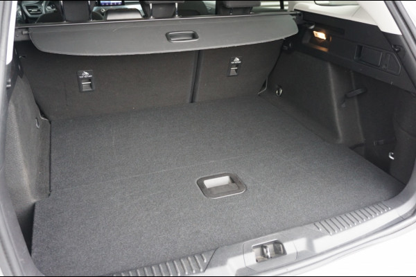 Ford FOCUS Wagon 125PK Active AUT. | HOGE ZIT | ADAP. CRUISE | AFN.HAAK | LUXE!