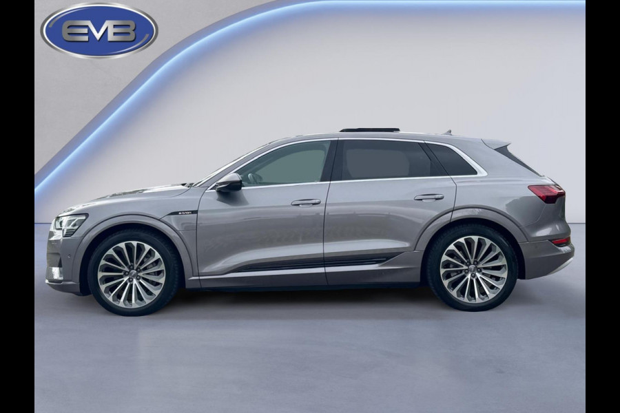 Audi e-tron E-tron 55 quattro advanced 95 kWh S-line, panoramadak, leder, HUD, trekhaak, vele opties
