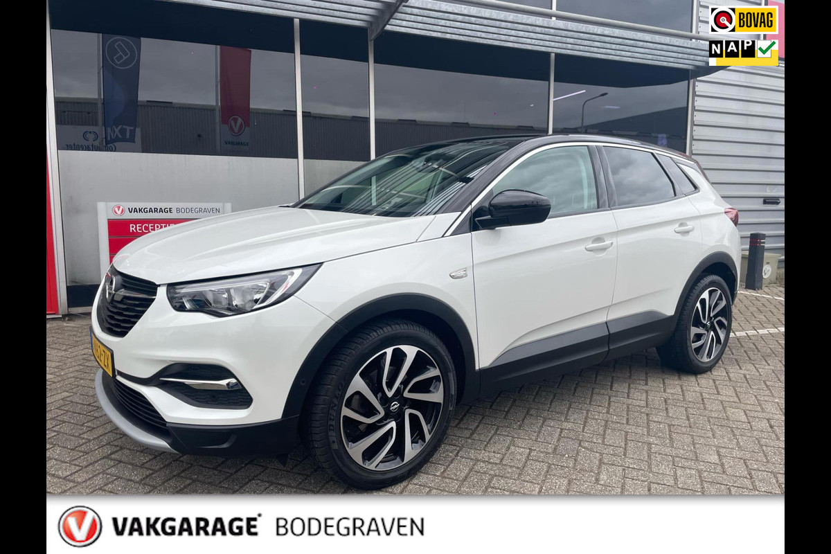 Opel Grandland X 1.2 Turbo Business Executive / camera Opel Grandland X 1.2 Turbo Business Executive / camera