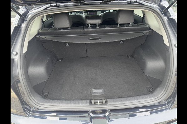 Kia e-Niro DynamicPlusLine 64 kWh