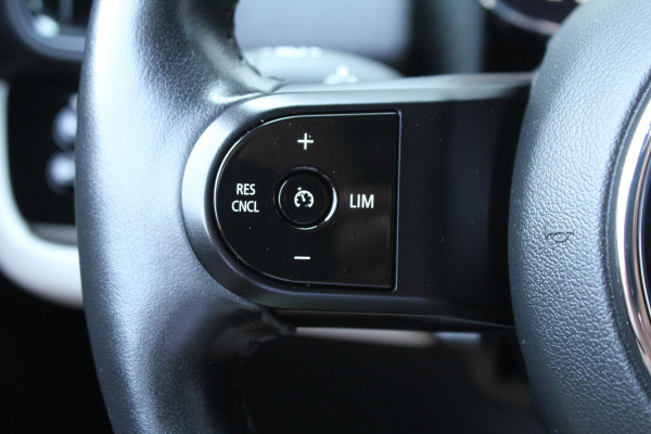 MINI Countryman 1.5 136pk Business Edition AUTOMAAT NL-Auto NAP Clima Cruise Navi Carplay Camera 17"LMV Leder Afn. Trekhaak 1500kg
