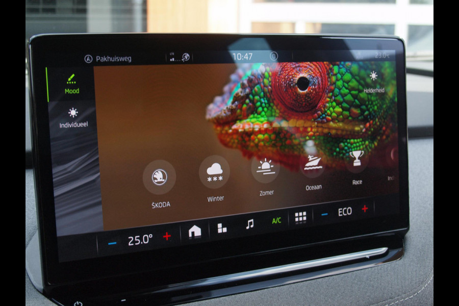 Škoda ENYAQ iV 80 | Camera | Trekhaak | Apple Carplay | Zware accu pakket |