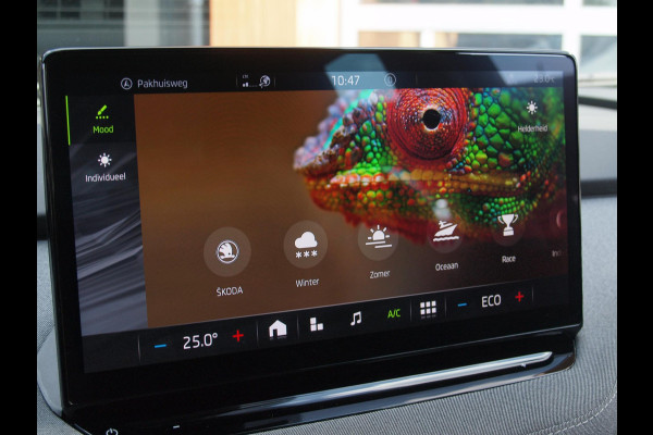 Škoda ENYAQ iV 80 | Camera | Trekhaak | Apple Carplay | Zware accu pakket |