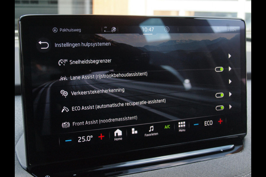 Škoda ENYAQ iV 80 | Camera | Trekhaak | Apple Carplay | Zware accu pakket |