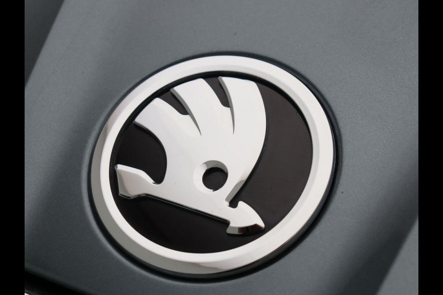 Škoda ENYAQ iV 80 GROTE ACCU Origineel NL Apple/Carplay Camera