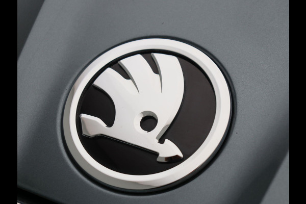 Škoda ENYAQ iV 80 GROTE ACCU Origineel NL Apple/Carplay Camera