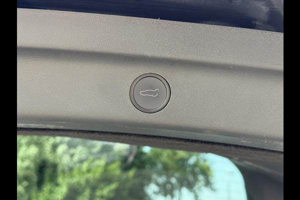 Tesla Model Y STD Rage Plus RWD Panorama | Trekhaak | Leder | Navi  |