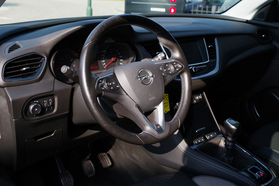 Opel Grandland X 1.2 Turbo 131 PK Business Executive, Panoramadak, Cruise Control, Winterpakket