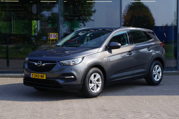 Opel Grandland X 1.2 Turbo 131 PK Business Executive, Panoramadak, Cruise Control, Winterpakket