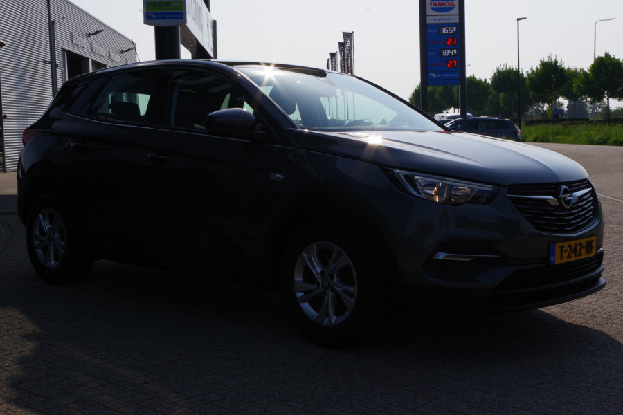 Opel Grandland X 1.2 Turbo 131 PK Business Executive, Panoramadak, Cruise Control, Winterpakket