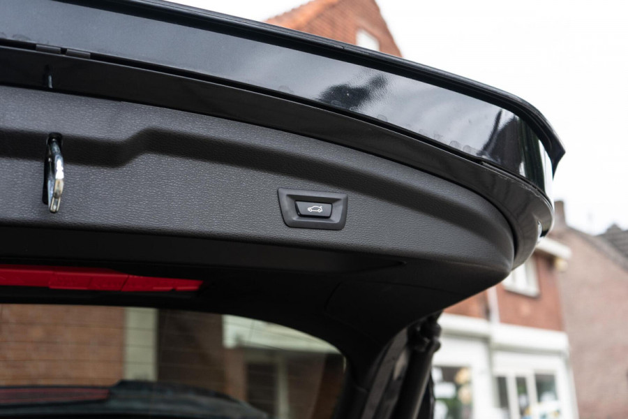 BMW X2 sDrive20i High Executive M-Sport Pano / HUD / Edition