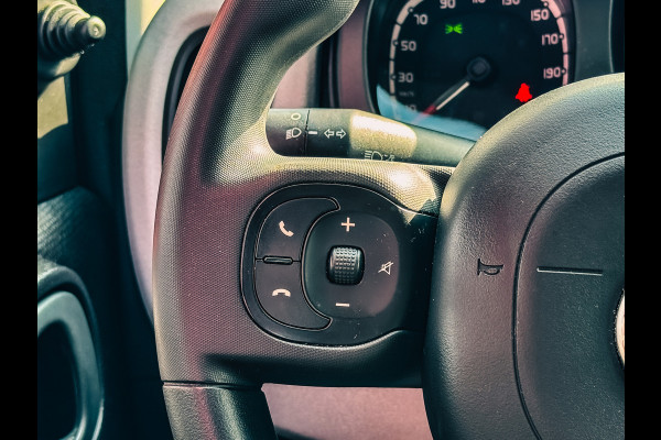 Fiat Panda 1.0 Hybrid Garmin Cross | Pack Garmin | Apple Carplay |