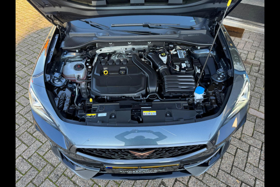 CUPRA Formentor 1.5 TSI Business Edition Plus 2022 AUT NAP!