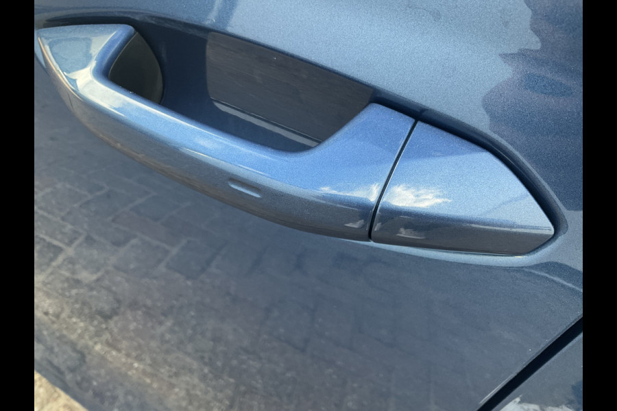 Škoda Octavia Combi 1.4 TSI iV PHEV Business Edition Plus Pano.dak Stoel/Stuur verw.