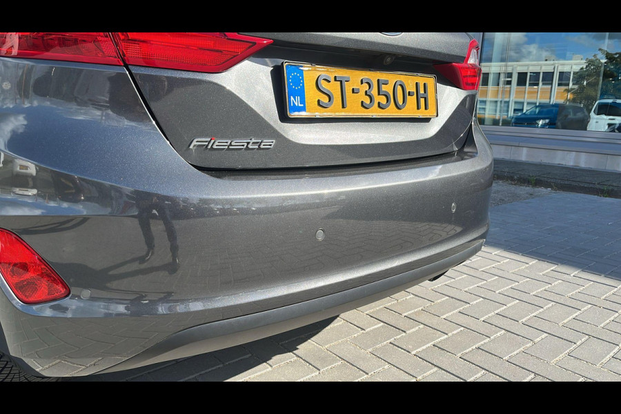 Ford Fiesta 1.0 EcoBoost Titanium Automaat | Winter pakket | parkeersensoren & camera achter
