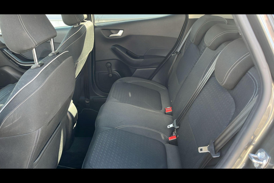 Ford Fiesta 1.0 EcoBoost Titanium Automaat | Winter pakket | parkeersensoren & camera achter