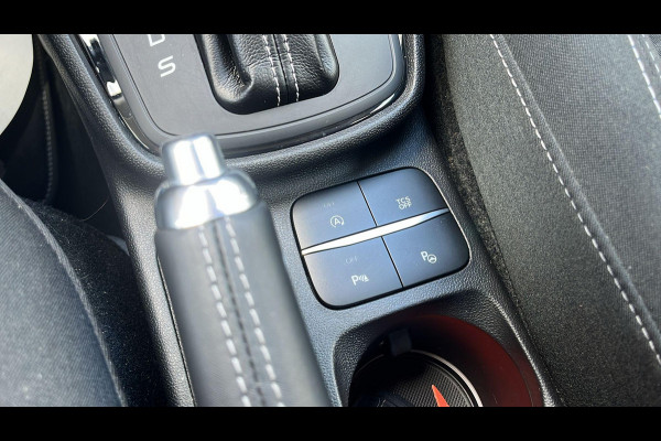 Ford Fiesta 1.0 EcoBoost Titanium Automaat | Winter pakket | parkeersensoren & camera achter