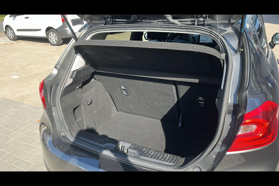 Ford Fiesta 1.0 EcoBoost Titanium Automaat | Winter pakket | parkeersensoren & camera achter