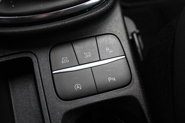 Ford Fiesta 1.0 EcoBoost Titanium / Camera / Navigatie / 16'' / B&O / DAB / Getint glas / Cruise Control