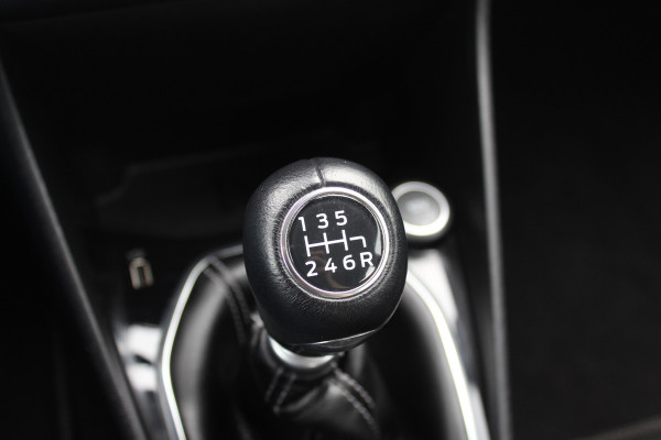 Ford Fiesta 1.0 EcoBoost Titanium / Camera / Navigatie / 16'' / B&O / DAB / Getint glas / Cruise Control