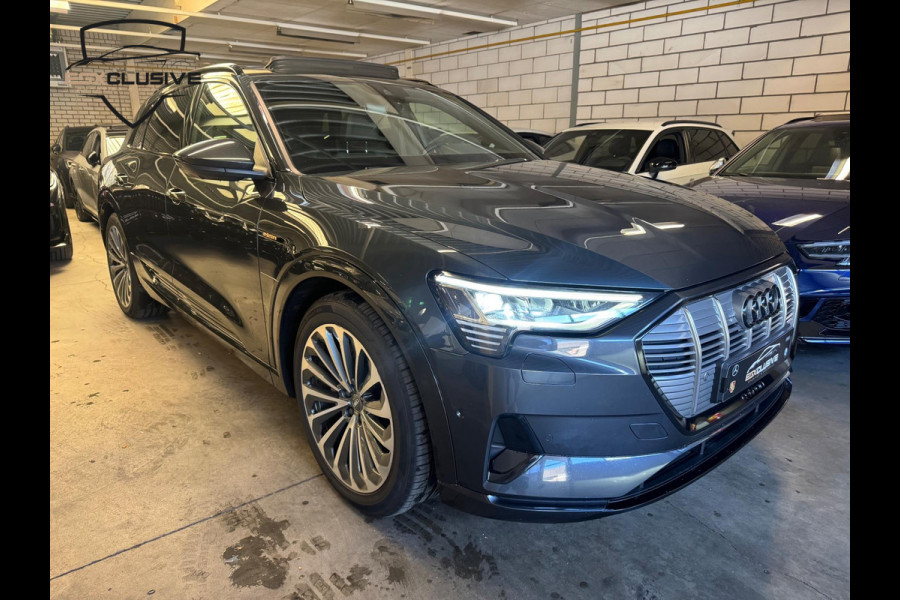 Audi e-tron E-tron 55 Quattro advanced 95 kWh 3X S Line Pano/360Cam/Memory