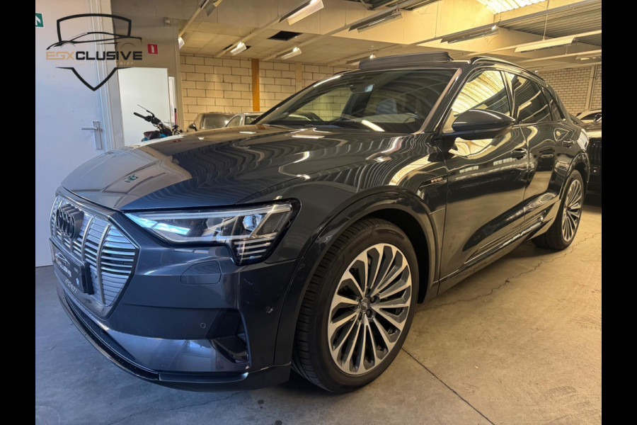 Audi e-tron E-tron 55 Quattro advanced 95 kWh 3X S Line Pano/360Cam/Memory