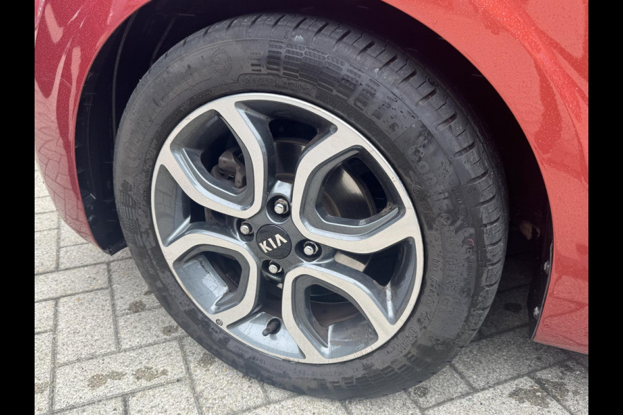 Kia Picanto 1.0 CVVT First Edition | Navigatie | Climate control | Achter uitrijcamera |