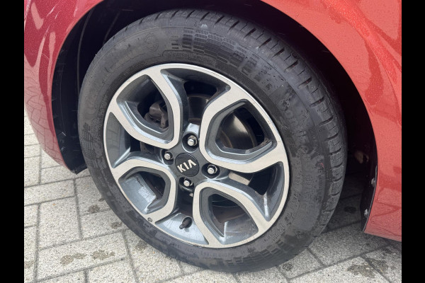 Kia Picanto 1.0 CVVT First Edition | Navigatie | Climate control | Achter uitrijcamera |