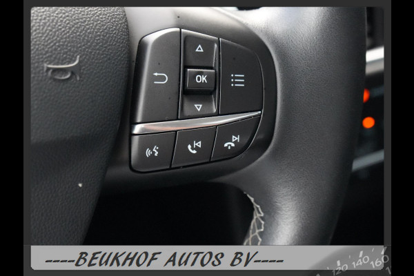 Ford Fiesta 1.0 EcoBoost Titanium Camera Carplay B&O Cruise