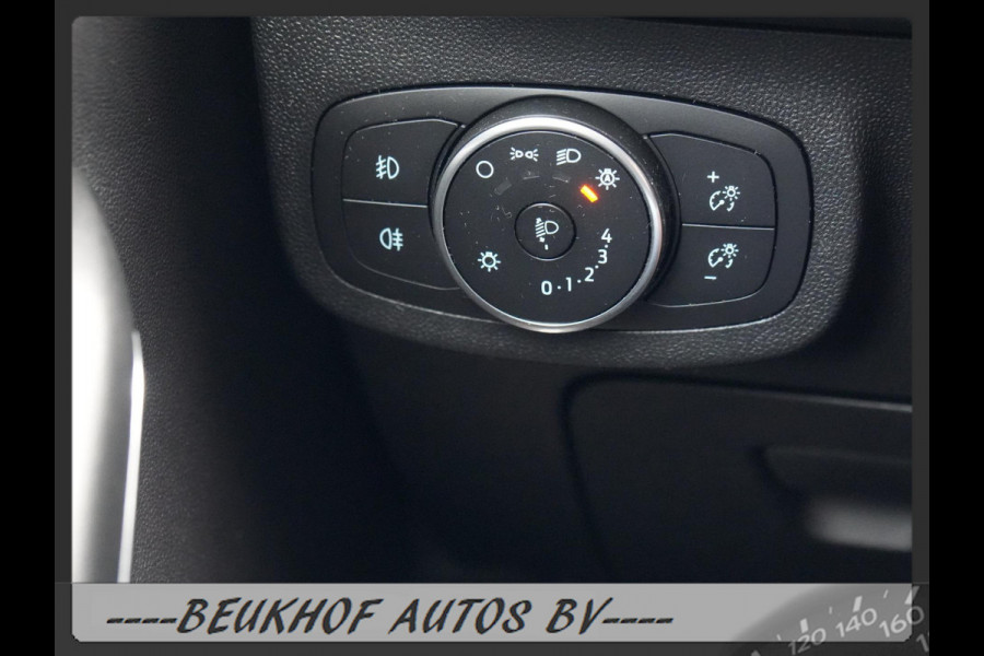 Ford Fiesta 1.0 EcoBoost Titanium Camera Carplay B&O Cruise