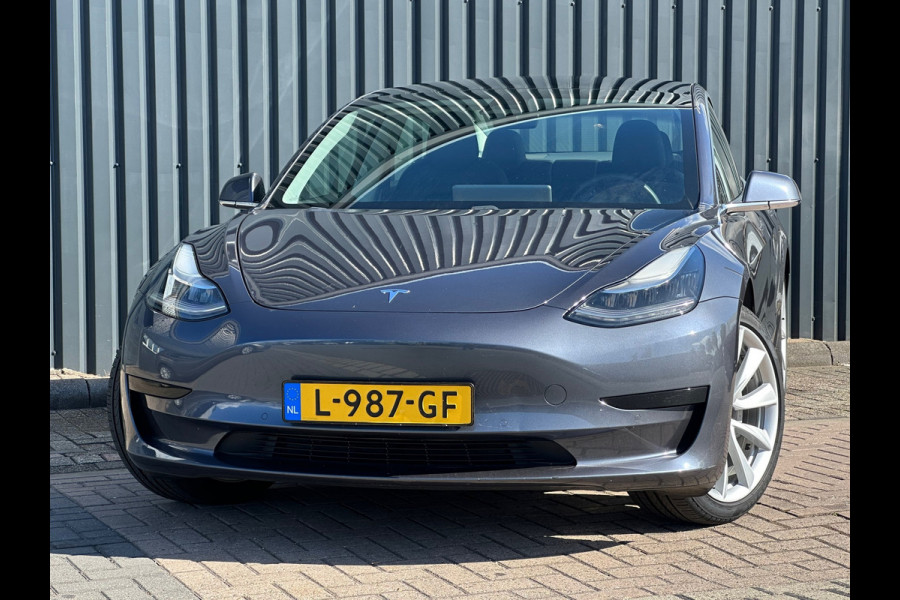 Tesla Model 3 Standard RWD Plus 60 kWh Trekhak