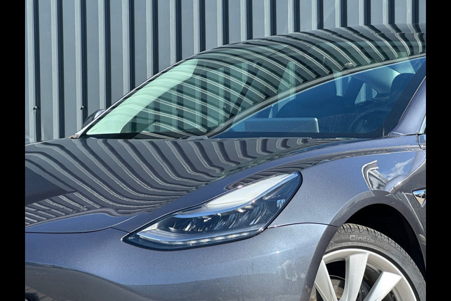 Tesla Model 3 Standard RWD Plus 60 kWh Trekhak