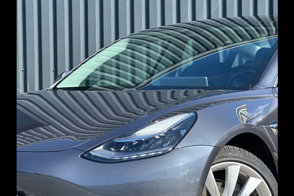 Tesla Model 3 Standard RWD Plus 60 kWh Trekhak